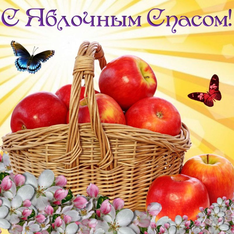 �������� ���� � �������� �������� ���������� ��������� ������������ ��������