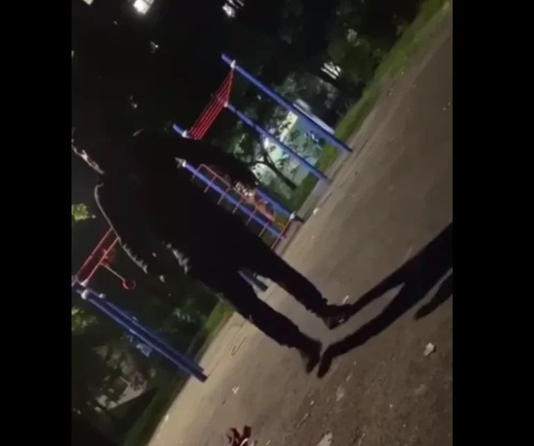 �����, � ������� ���������� �������: � �������� ����� ������� ����, ���� ��� ����������� � ���������