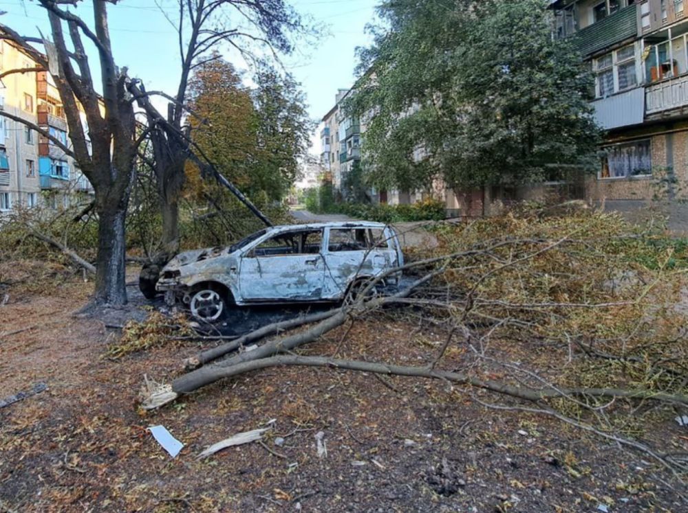 ���� �������: ��� ������� ������� ���� �� ����������