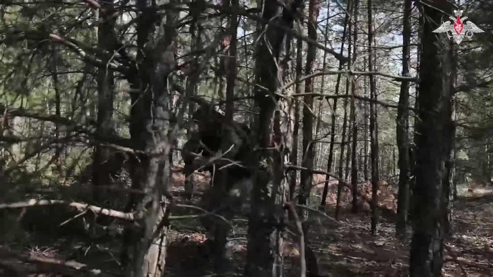 ��������� ��������: ���������� �� ���� ���������� ������ �������� ������ ���. ��������������� ����������� � ���� ���������� ������ ������ �������������� ����������� � ����� ��������, ��� ��� ������ ���� ������� ������� ����� ����������