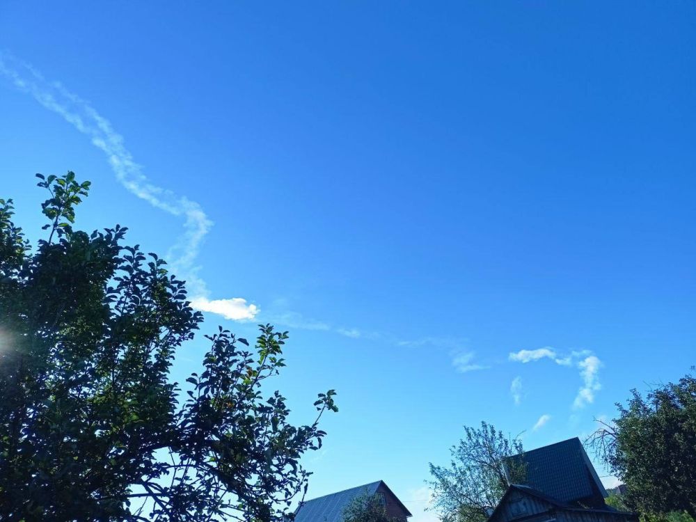 ���� �������: ��� ���������� �������� ����������� ��� ���������� ������������