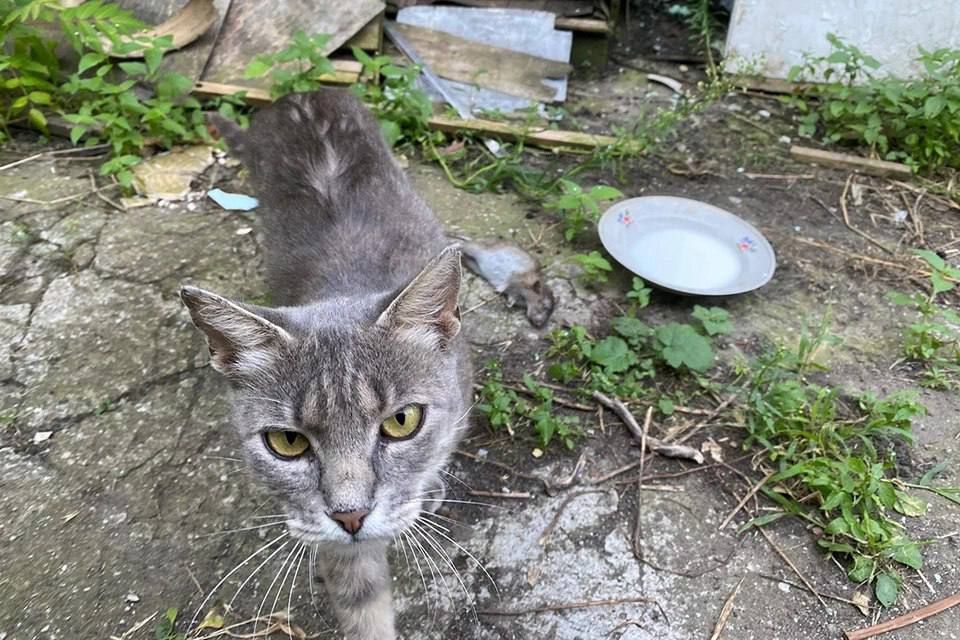 ��� ������� ������ �������� �����, � ��� �������� ��� �� ����� ���������