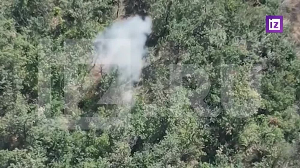 "���� ������� ���� �� ����������� ��������������": ������������� "��������" ��������� ��������� ����� ������ � ������� �� ��� ����� ���������� �������