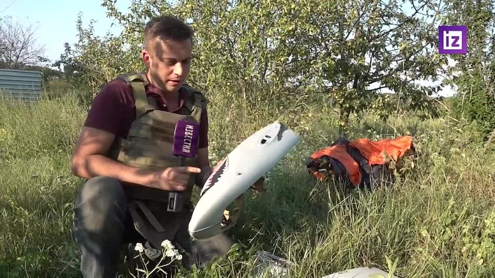 ����� ���������� ������� ����� ����������� Shark � ������ ��������