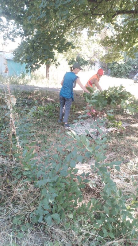 ���� �����������: �������, 22 �������, ������ ������������ ����������� ���� ��������� ������ �� ��������� ������� � ������� �� ���������� �. �������: