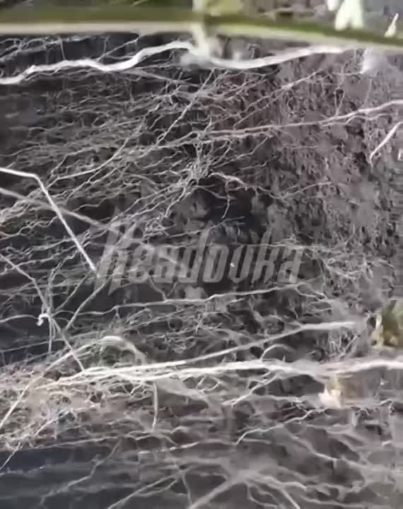 �������� ����� �� ����� ��������� ��������� ������ ��� �� ����� � ������ ������ �� �������� ������� ������ ������� ����������� ��������� �� ����