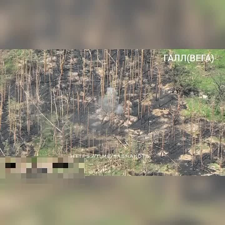 ����� ������� ��������� ����� ������� ��������� ���������� ���-�� ��� ���������, �������� � ��� ����� ��������� ������� �����