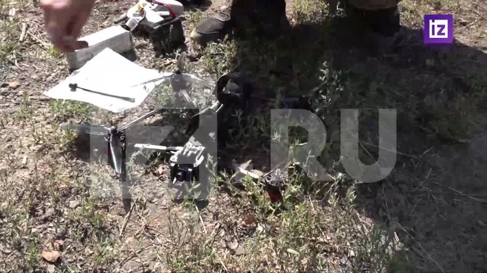 ���������� �������������� ���������� ���������� ���������� ���� � ��� ������� "������"