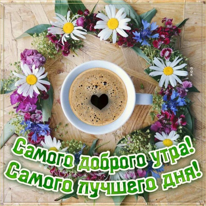 ������ ����, ������!. ���� �������� ���, ������� ����, ������ ���������! ������� ����� �� ��������� ������ ������ � ������. ����� ���� �������