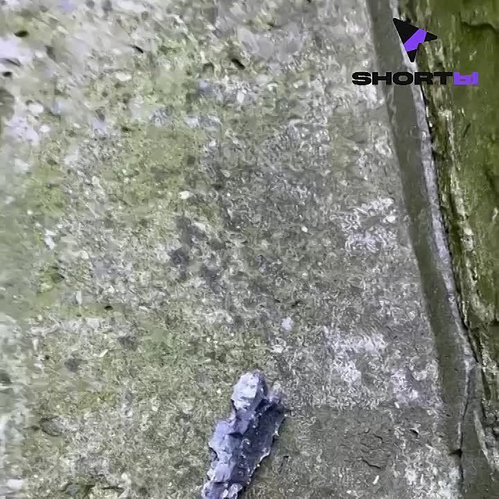 ����� ������� ������ ��������� ����� ��������