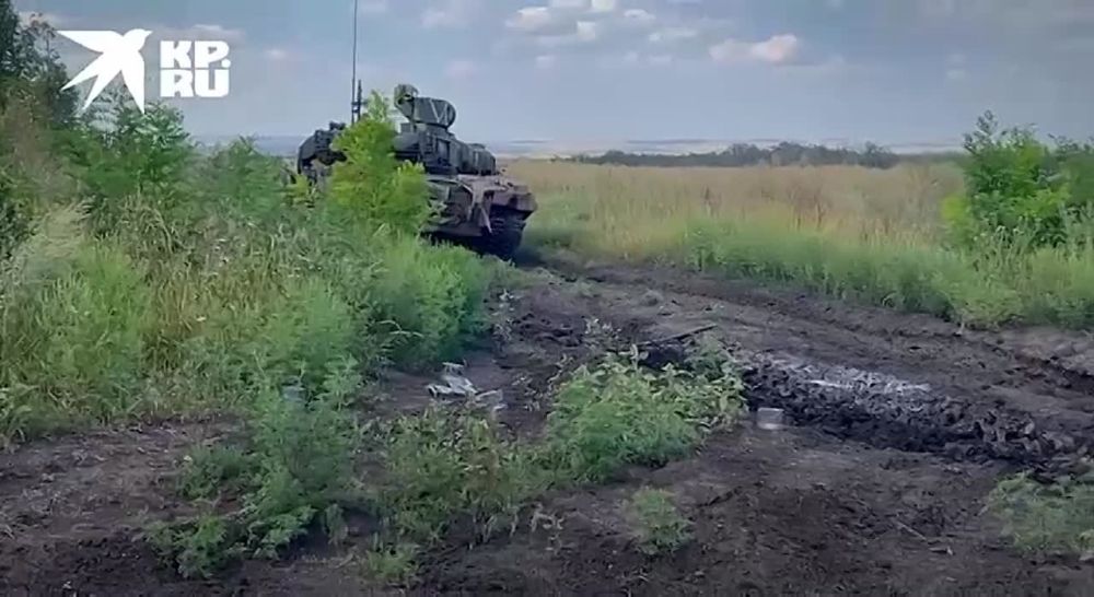����� ������ ������ �������� �������� �������: ��� ��������� ���������� ������� ���������, ������ ����� ������ � �������