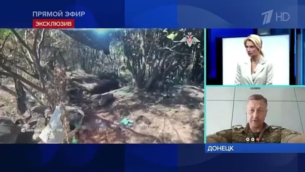 �� �����, �������� ���� ����� ���: