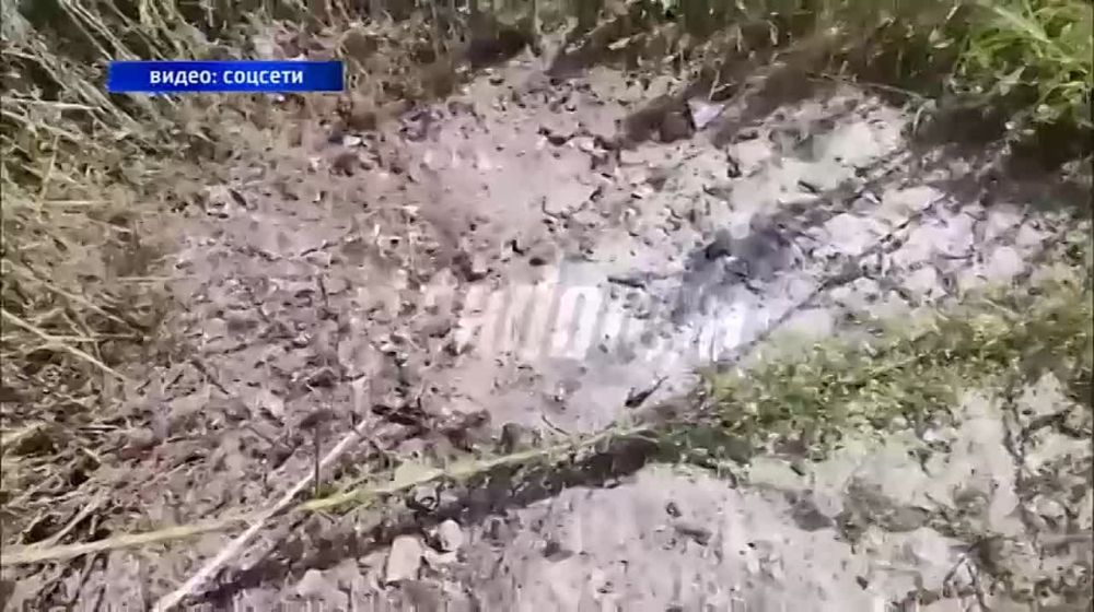 �� ����� ���������� ������ ��� 28 ��� ����������� ��������� �� ������� ���