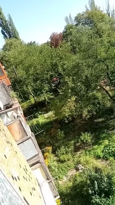 �������� ����� ������� ��� ���������� ���