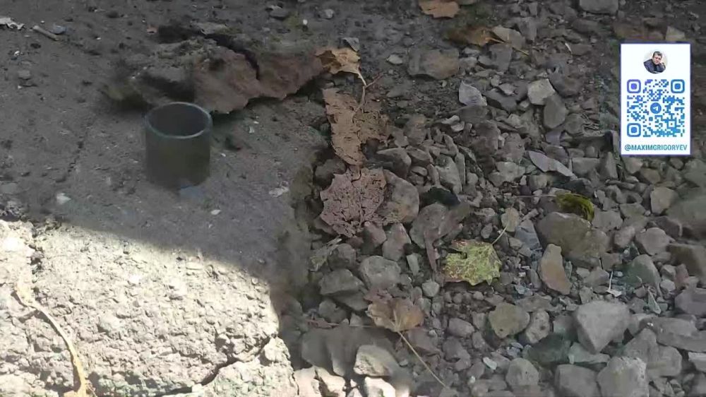 ������ ���������: ������������� ������������ �������� �� ������������� ���������� ����������� ���������� ����� �������������