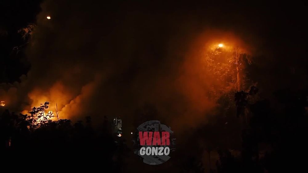 WarGonzo: ������� �������� ������ �������� � �������