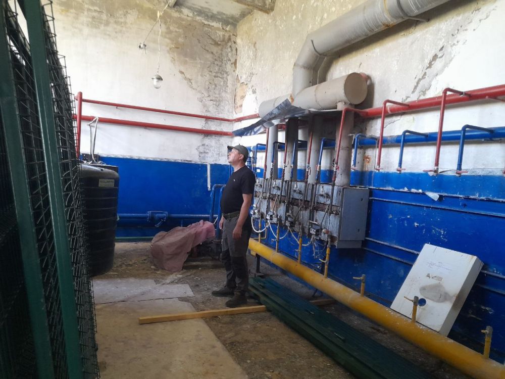 ���������� ��������: ����� �������� ��� ���� ��������-����������������� ������ � ����� �.����������