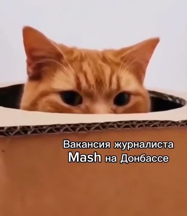 ������, ��� ���, � �� ���� ����������� � �������
