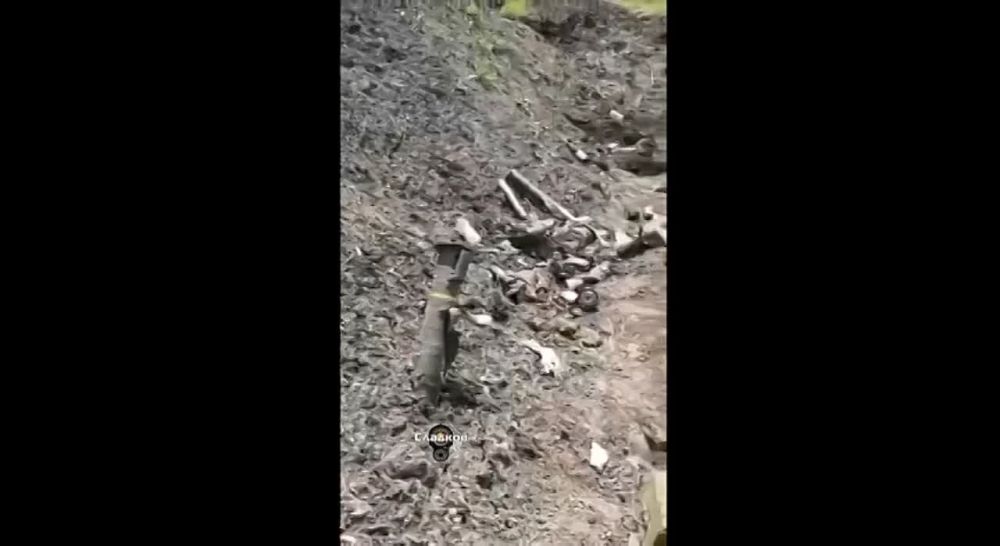 ��������� �������: ���� ��������� � ���, ������� ���. ������ ���������� � �����