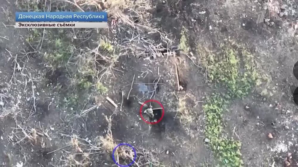 ���� ��������: ��� ������� ���������� ������� ����� ������ � ������ �������� ����������� ��� ��� ����������