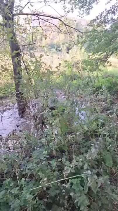 ������ ����������� �� �������