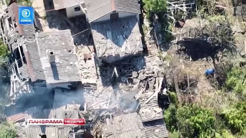 ���� ������� ���. ��� ����������� ������������? ������������ ����� ������ � ����������� �����������