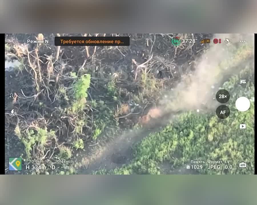 ����� �� �����. ����� �������� ��������� ������ ������ ����������