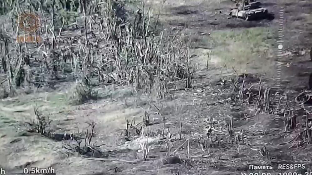 ����� ������ ������ ������ �������� "�����" ��������� � 4-� �������� 2-�� �� � ������ ��������� ������� ������ �������