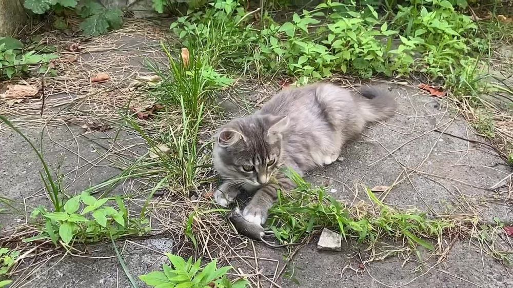 ������� ������: #�������� ���� �� ������ ��� ��� �������� � �������� ���� ����� � ���� ����������� ������ �����