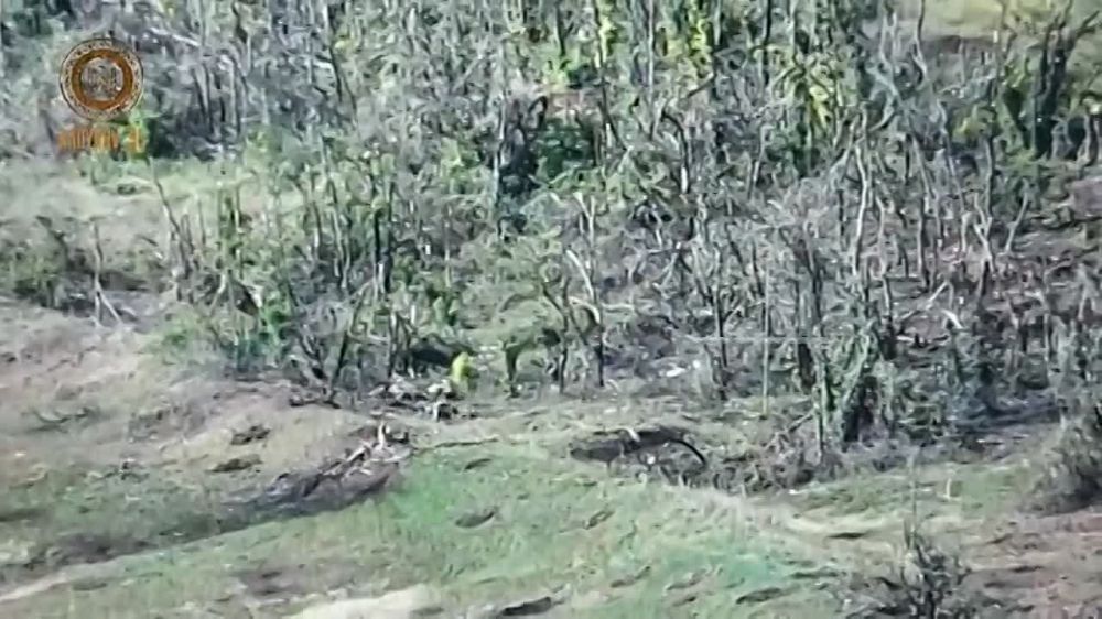 ������� �������: �� ����������� ����������� �� ������� ��� � ������ ���������