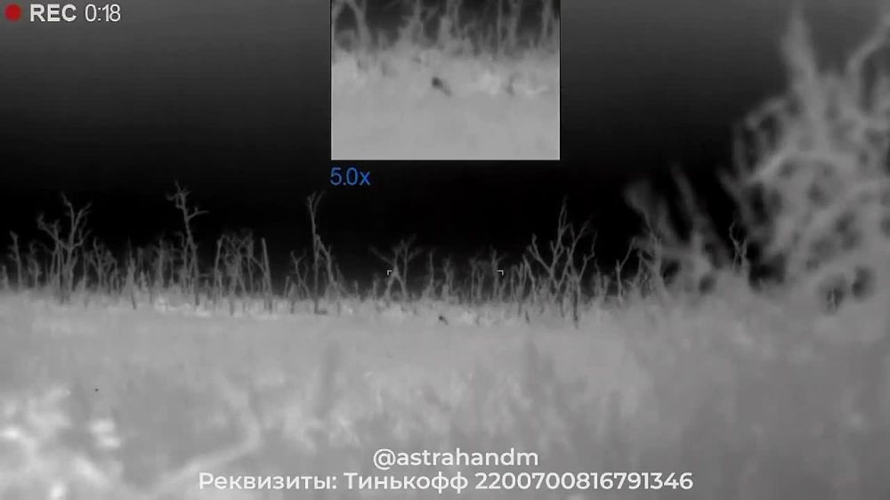 ������� ���������: �������������� ������, ������������� �� �������� � ������ ����� ��� ���������� ������ 33 ��� 20 ��� ��� ��������!