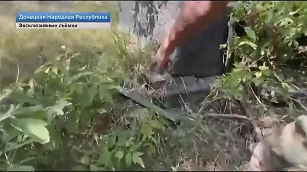 ���� ����� ������������ �� ������ ��� ����������