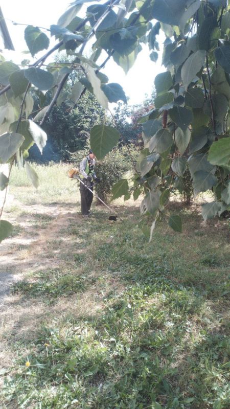 ���� �����������: �������, 29 �������, ������ ������������ ����������� ���� ��������� ������ �� ��������� ������� � ������� �� ���������� �. �������: