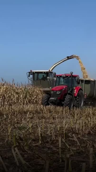 ����� ����������: � ���������� ������������ �������� �� ��������� �������� ���� ��� ����������� ���� ������� ��������������