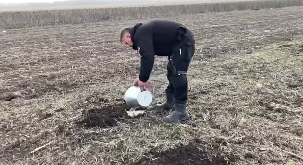 ��������� �����: ���������� ������������� ������� �������� ��� �� ����-������