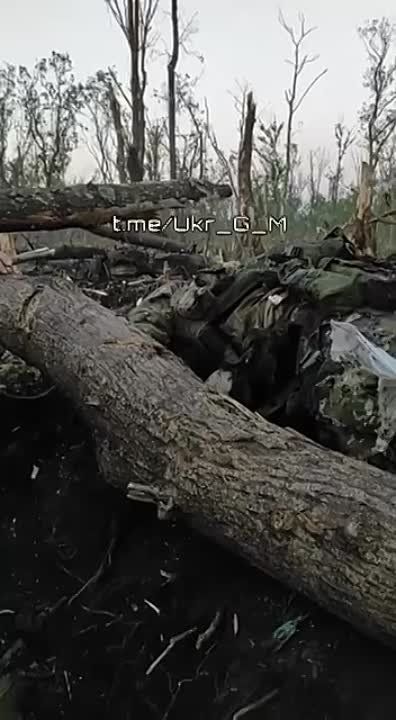 ��������� �������: ��� ��������� ����� �� ����� �������� ������� ��������