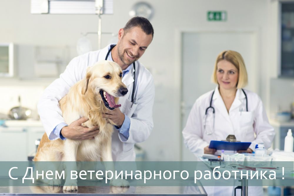 Владислав Ключаров: Уважаемые ветеринарные работники!