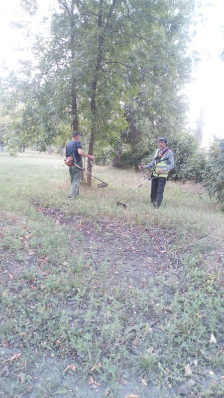 ���� �����������: �������, 31 �������, ������ ������������ ����������� ���� ��������� ������ �� ��������� ������� � ������� �� ���������� �. �������: