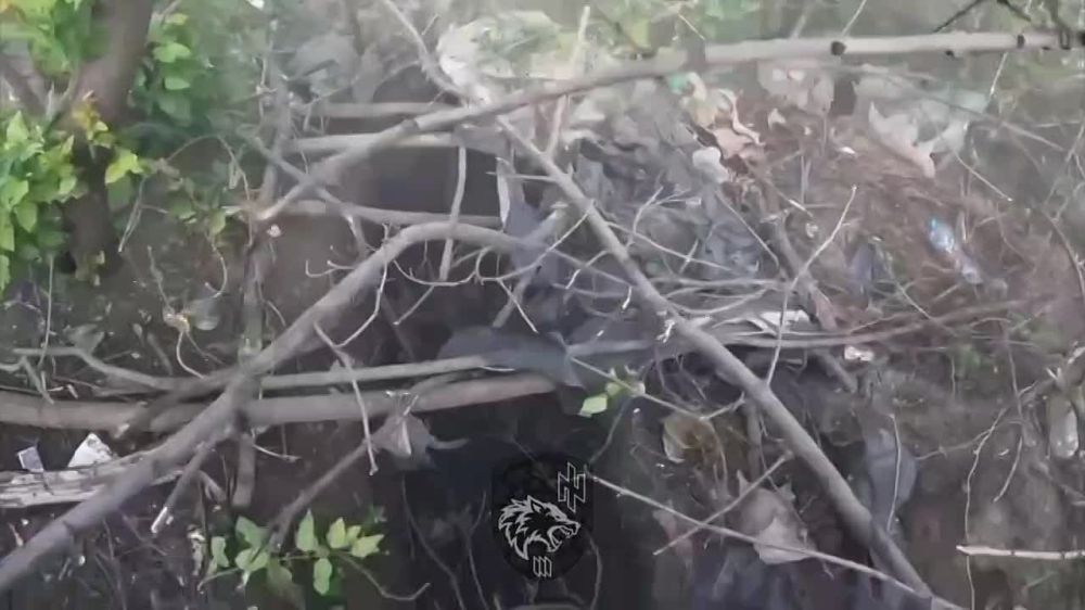 ������� �������: ������ ������� �����.. ���������� ������������� �������� ������ �� ������������� ��� M113 � ��������� "�����" � ���������
