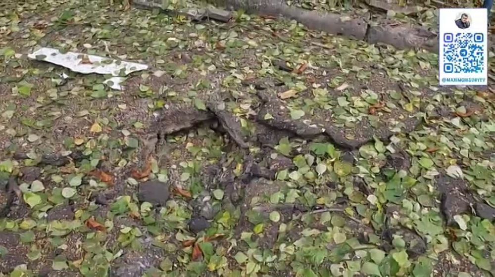 ������ ���������: . ����������� ����������� �������� ��. ��������������� ��������� ������ ������� �������� � 13-55. ������� ������, ������� ������� �������