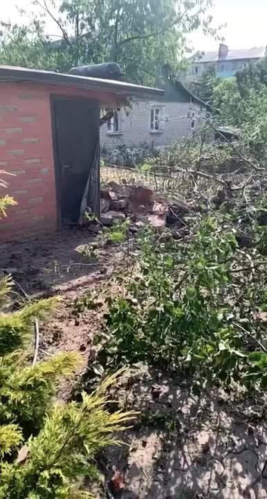 ������ �������: �������� ������������������ ����� ������ ������� �� ���� ������ �����