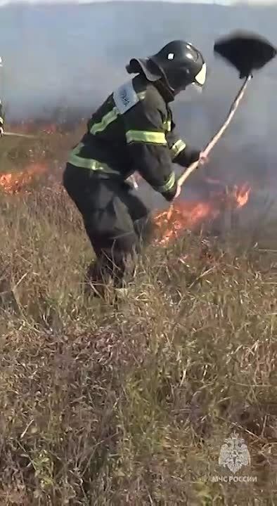 � ��� ����������� ������� ���������������