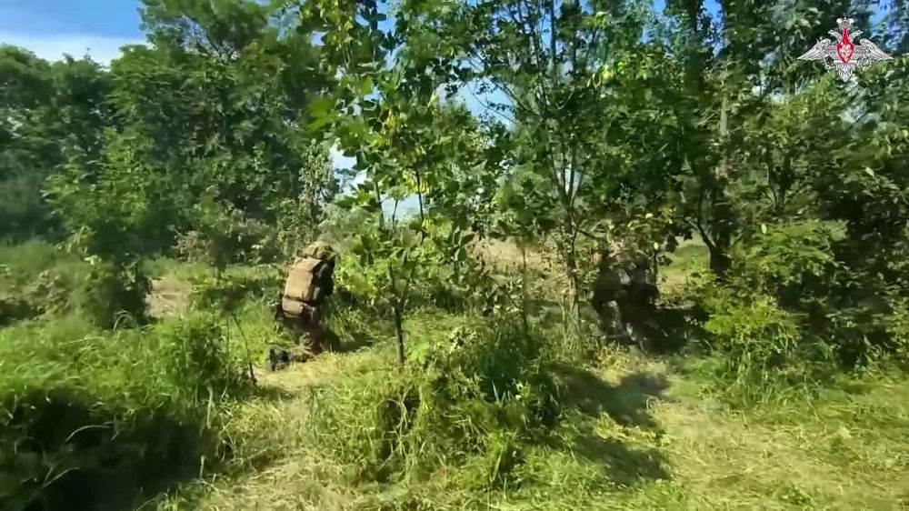 ���������� ��: �������� �������������� ����� ��������� �� �������� � ���� ������������