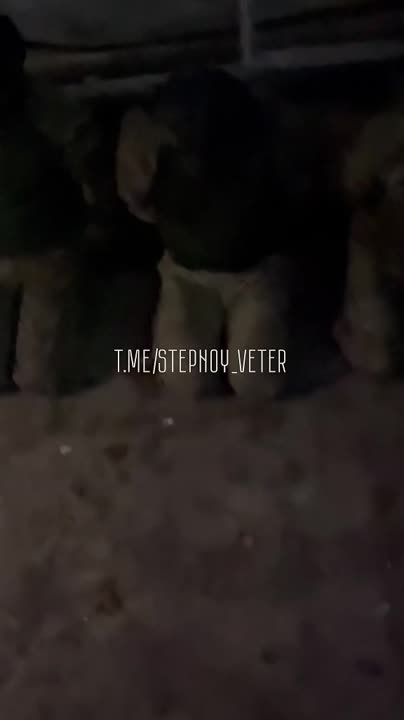 ����� ������ �������� ��� ��������� �� ������ � ���������