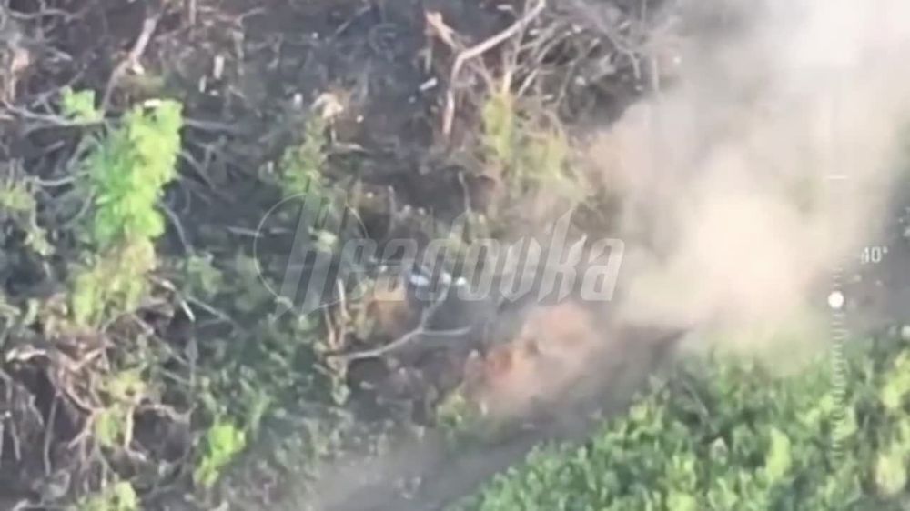 ��� ���������� ������� ����� � ������� FPV-������ ������� �������� ����� ���� ����������