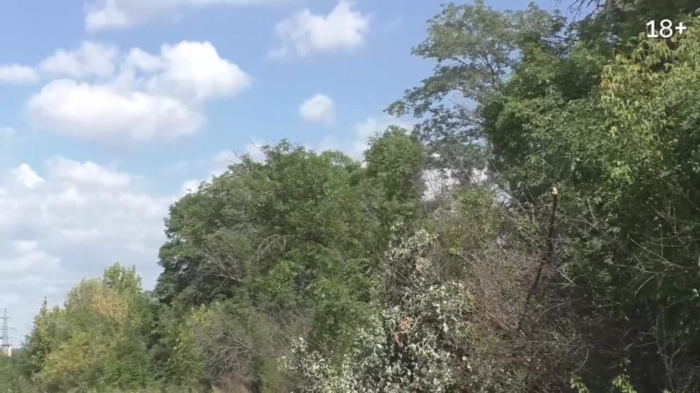 �Road movie�: ������ � 15 ������