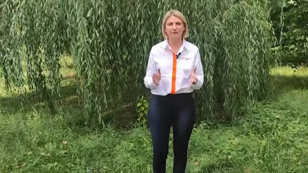 ����� ����������: 3 �������� � ���� ������������ � ������ � ����������� � ������