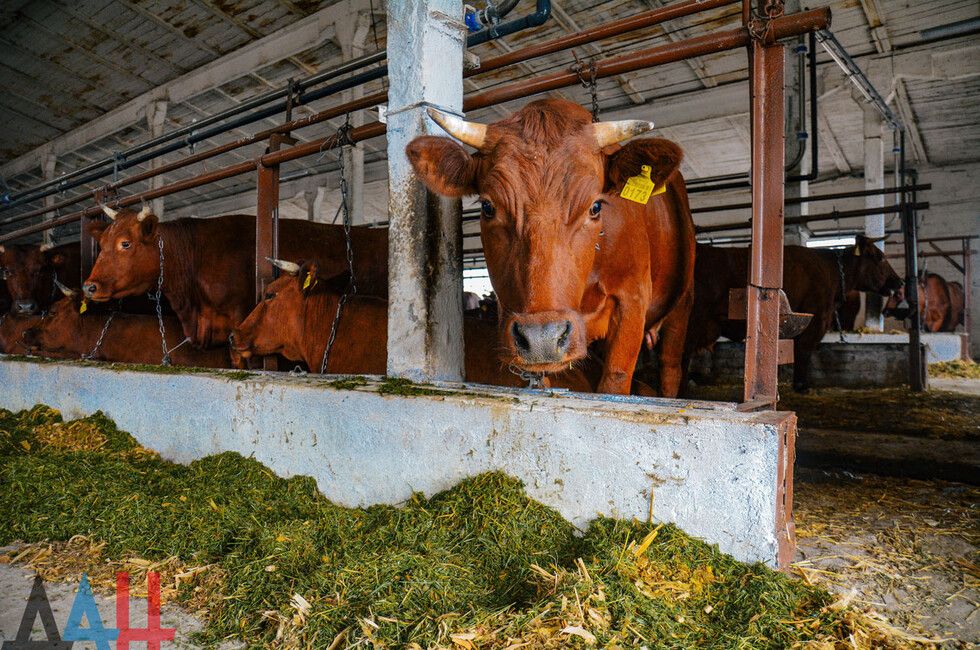 ��������� ��� � ���� ���� �������� � �������� �������� 128 ��� ������