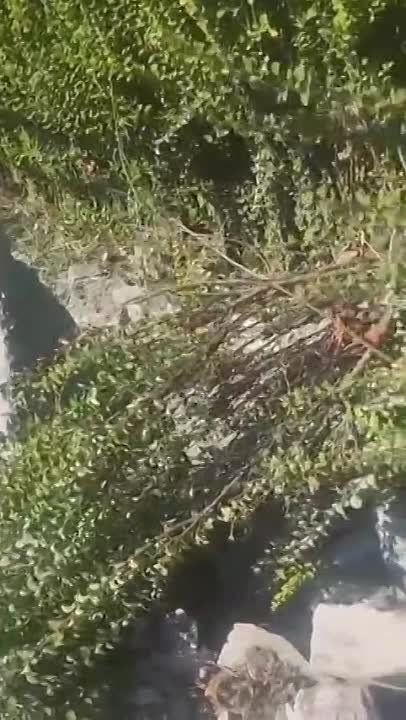 ������� ��� ����� ���������� �������� ������