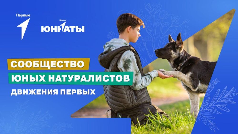 ������ �������� �������?. ������������� � ���. ����� ������ ���������� ���� ������������ �������� ������! ������� ������ �� ����� (
